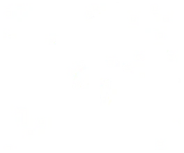 Bad Girls International